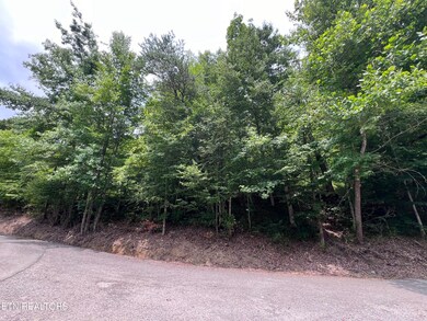 89 Branch Connector Rd, Flat Lick, KY 40935 - photo 3