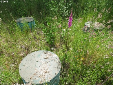 14830 Rainier View Dr SE, Yelm, WA 98597 - photo 3