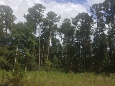 ... Wardlaw Rd, McComb, MS 39648 - photo 5