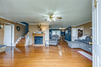 353 Major Rd, Cornersville, TN 37047 - photo 5