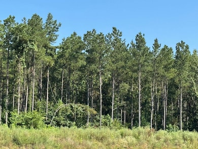 Highway 314, Plainview, AR 72857 - photo 7