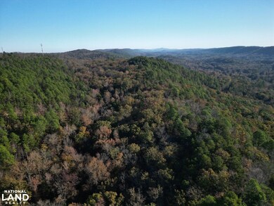 Hwy 11, Pelham, AL 35124 - photo 3