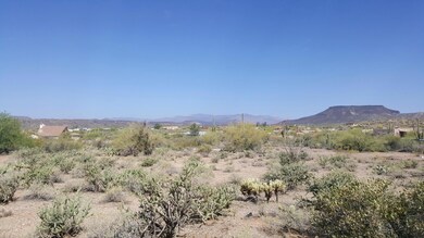 Mountain Views Large Flat Lot (1)