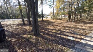 22141 Bunting Rd, Georgetown, DE 19947 - photo 5