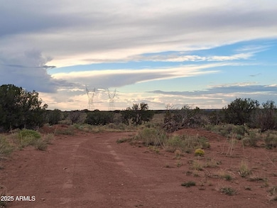 201 County Rd N5380 --, Concho, AZ 85924 - photo 5