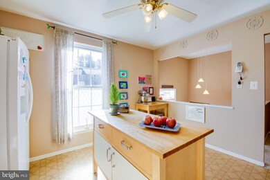 2 Pinecone Ct, Parkville, MD 21234 - photo 4