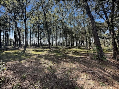 Lot 2 Hwy 16 None, Franklinton, LA 70438 - photo 2