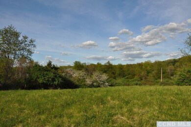 0 Starbarrack Rd unit 90871, Red Hook, NY 12571 - photo 6