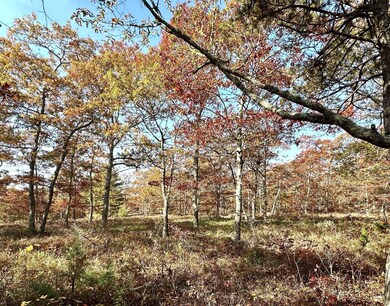 0 Bridle Path Rd, Vineyard Haven, MA 02568 - photo 2