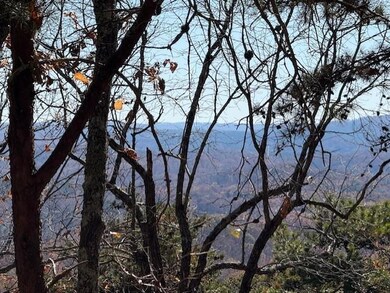 0 John Call Rd unit 7683545, Talking Rock, GA 30175 - photo 2