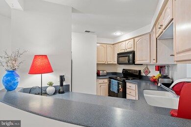 11234 Harbor Ct unit 11234, Reston, VA 20191 - photo 6