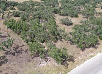97 & 107 Nott Branch Rd unit 30, 31, Harper, TX 78631 - photo 7