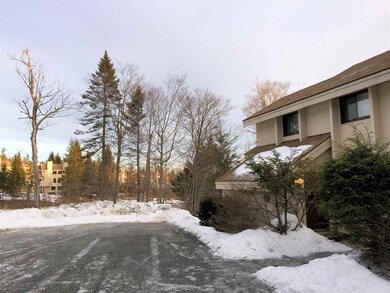 678 Ethan Allen Trail unit 769-A, Peru, VT 05152 - photo 2