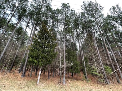 00 Twin Fawn Dr, Elberton, GA 30635 - photo 2