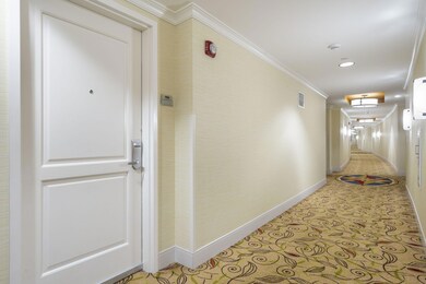 2-web-or-mls-DSC04857
