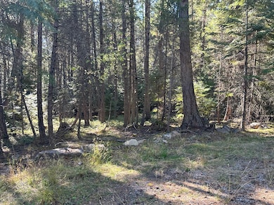 26 Tamarack Dr, Thompson Falls, MT 59873 - photo 4