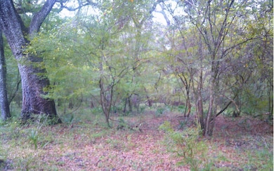 2227 SW Santa fe Dr, Fort White, FL 32038 - photo 2