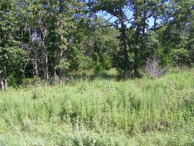 0 Pecan Valley Rd Lot 9 unit 703467, Tecumseh, OK 74873 - photo 4