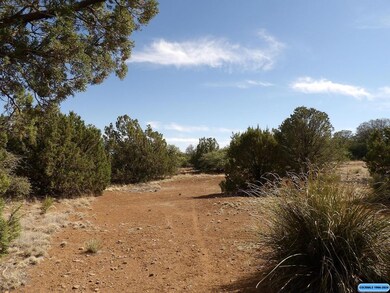 116xx E Highway 180 E unit xx XYZ Rd., Silver City, NM 88061 - photo 2