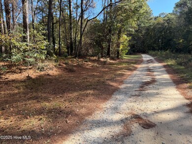 254 Falling Creek Ln, Goldsboro, NC 27530 - photo 3