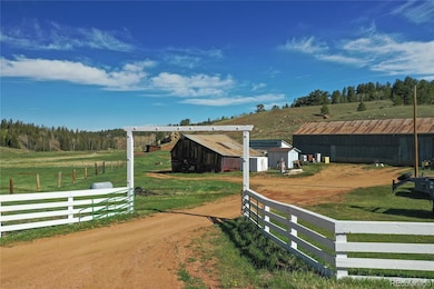 3579 County Road 42, Florissant, CO 80816 - photo 5