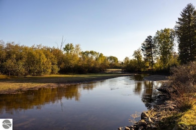 121 Haddix Blvd, Barryton, MI 49305 - photo 3