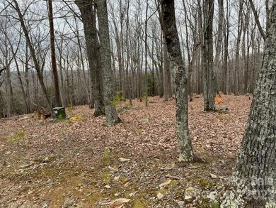 282 Cascading Creek Trail, Denton, NC 27239 - photo 2