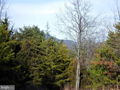 0 Jerome Rd, Mount Jackson, VA 22842 - photo 6