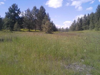 xx Dry Creek Rd, Chewelah, WA 99109 - photo 3