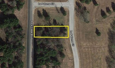 553 La Paloma Cir unit L 2A, Gordonville, TX 76245 - photo 4