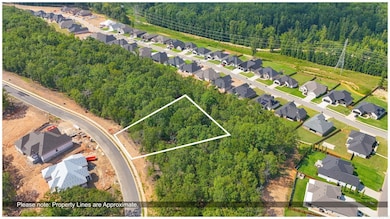 990 Fern Ridge Rd, Sherwood, AR 72120 - photo 3