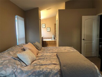 10121 Coldwater Loop, Land O Lakes, FL 34638 - photo 5