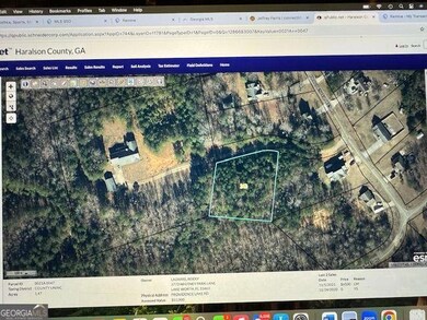 0 Providence Lake Rd unit 10576961, Tallapoosa, GA 30176 - photo 3