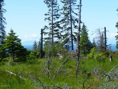 Potential Inlet Views