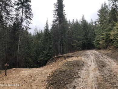 Driveway to Neighboring Property