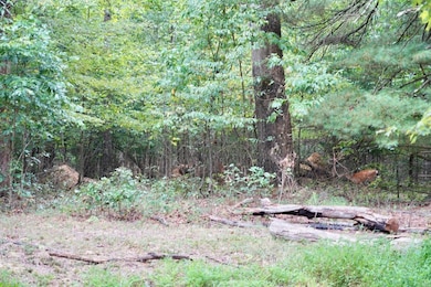 0 Prussia Rd, Waverly, OH 45690 - photo 5