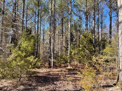 TBD County Road 447, Oxford, MS 38655 - photo 2