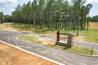 Lot 15 Stormi Way, Berry, AL 35546 - photo 2