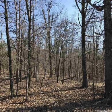 354 Greene 720 Rd, Paragould, AR 72450 - photo 3