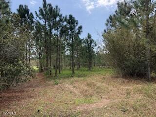 Perniciaro property 6 back