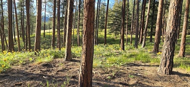 NHN Profile Rock, Alberton, MT 59820 - photo 4