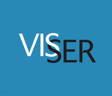 visser box logo