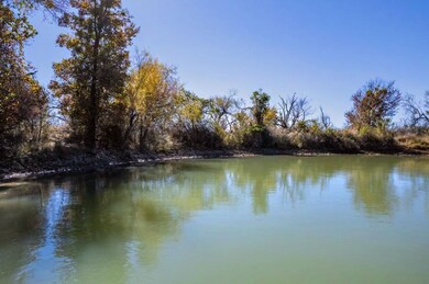 124 County Road 439, Brownwood, TX 76801 - photo 7