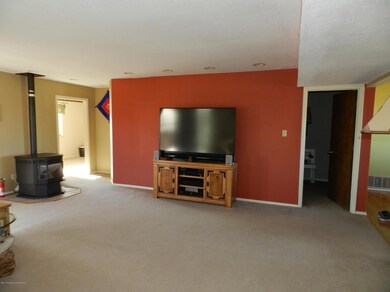 61 Road 3775, Farmington, NM 87401 - photo 4