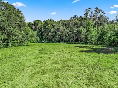 12751 SE Highway 42, Weirsdale, FL 32195 - photo 6