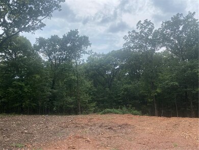 827 Brush Creek Rd, Springdale, AR 72762 - photo 5