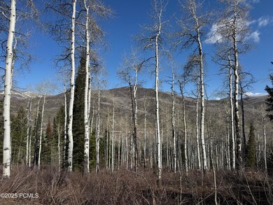 IMG_9760
