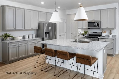 Model Representation