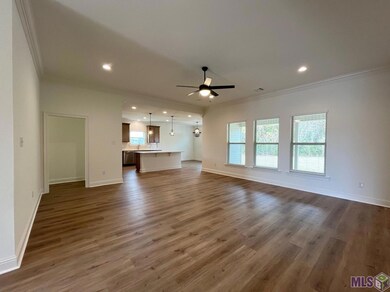 20781 N High Plains Dr, Zachary, LA 70791 - photo 2