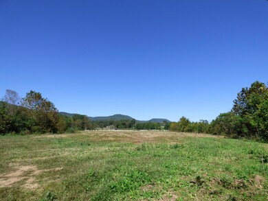 0 Chamberlain Rd unit 1236036, La Fayette, GA 30728 - photo 2